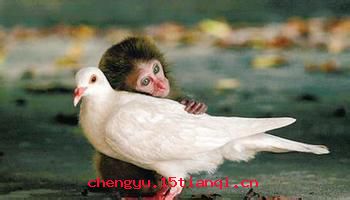 伶仃孤苦的成语故事
