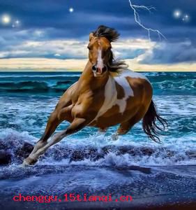 马去马归的成语故事