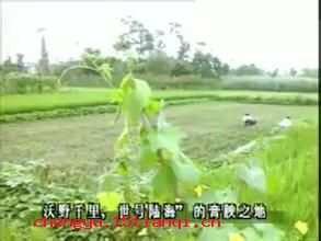 望帝啼鹃的成语故事