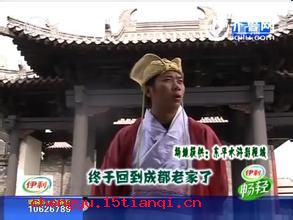 文君司马的成语故事