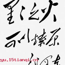 星星之火的成语故事