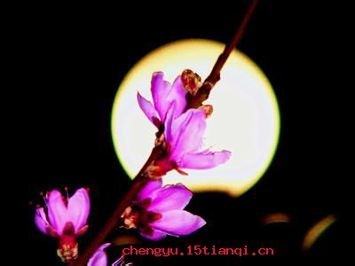 春花秋月的成语故事
