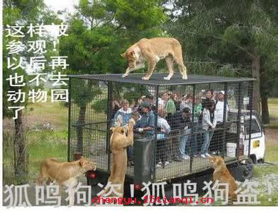 行同狗豨的成语故事