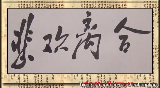 悲欢离合的成语故事