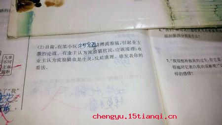 猫噬鹦鹉的成语故事