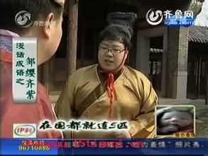邹缨齐紫的成语故事