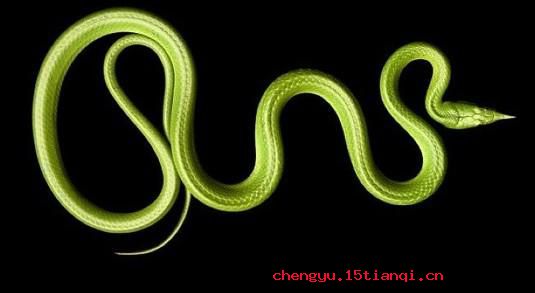 蛇珠雀环的成语故事