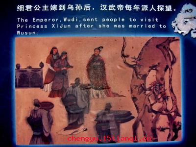 归遗细君的成语故事