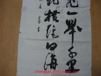 鸿鹄高飞，一举千里的成语故事