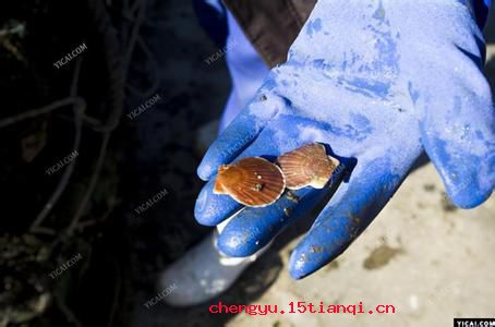 顾头不顾尾的成语故事