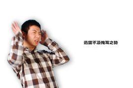 疾雷不及掩耳的成语故事