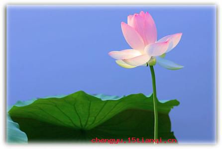 羯鼓催花的成语故事