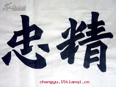尽忠报国的成语故事