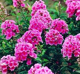 电商励志句子2021年合集77句