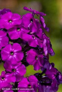 秋天诗意古风的句子 古风且富有诗意的句子48句