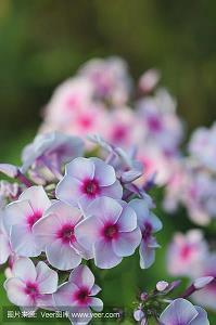 心情低落发朋友圈的文案(精选29句)