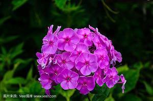 描写立春的唯美句子简短