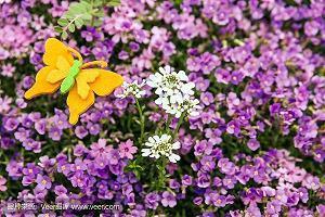 正能量激动人心的句子短语大全？关于正能量文案大全摘录25句