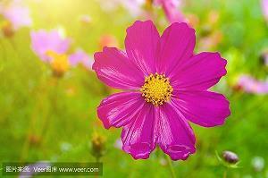 早安语录 励志简短 早安语录正能量的句子精选80句