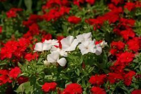 心灵鸡汤经典语录励志霸气推荐39句