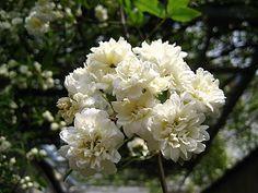 让人感觉很舒服的句子24句