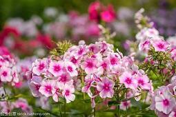 等人等到心碎的句子