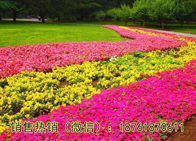 接地气励志的句子(精选30句)