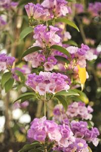 至少用3个时而造句