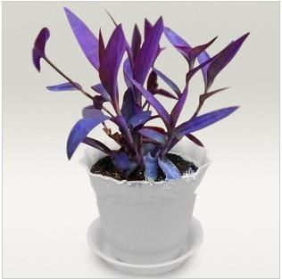 唯美爱情文艺感人的表白句子