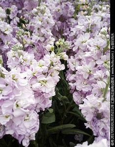 立秋节气祝福语精选汇总30句