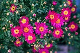 表达对亲情失望的句子