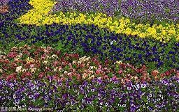 一句话把人说哭的句子 最伤感的句子看了想哭(精选43句)