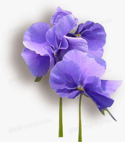 清晨美好新的一天短语 早上吸引朋友圈的句子(精选61句)