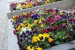 有关人生经典句子精选58句