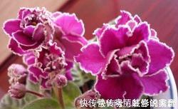每天都特别开心的句子
