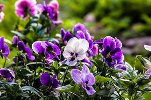 最新闺蜜生日的走心文案句子(精选59句)