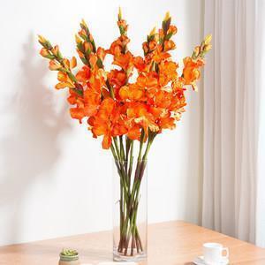 2021最新芒种祝福语说说 芒种朋友圈说说带图片集锦14句