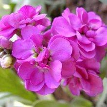 2020情感文案扎心句子 2020扎心文案短句