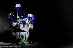 相爱开心的句子说说心情