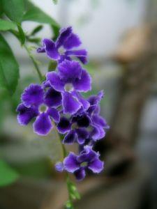 2021生日祝福语简短独特(精选100句)