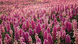 给男友暖心的情话