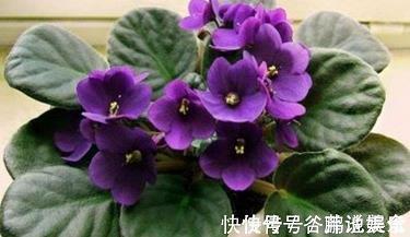 静心最高境界经典句子