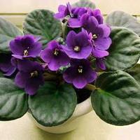 心里难受的句子一个人说不出