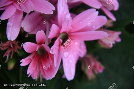 感谢师恩的唯美句子 教师节祝福语
