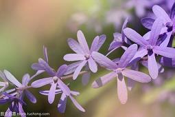 表达每天都要开心的句子