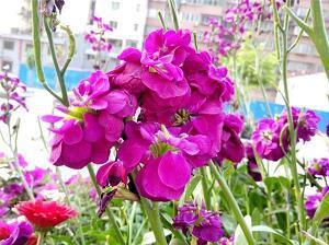 今日谷雨优美寄语大全合集88句