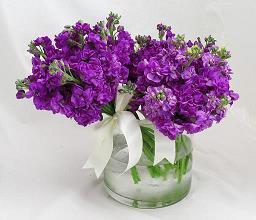 早上发朋友圈的励志句子 人有了信心，就会产生意志力量