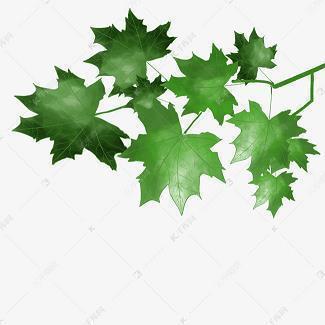 关于光的唯美句子(精选33句)