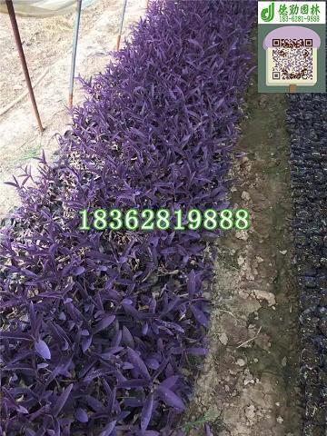 情侣分手后的伤感说说带图片