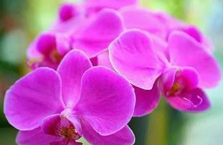 说说好听的句子